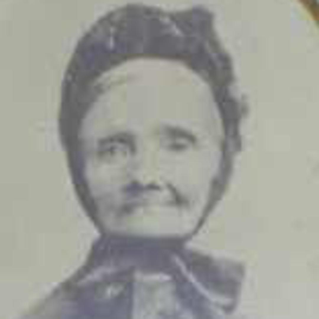 Ann Shill (1823 - 1896) Profile